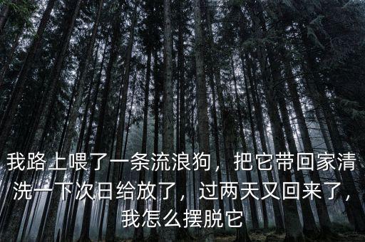 我路上喂了一條流浪狗，把它帶回家清洗一下次日給放了，過(guò)兩天又回來(lái)了，我怎么擺脫它