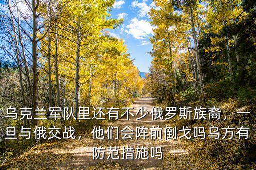 烏克蘭軍隊(duì)里還有不少俄羅斯族裔，一旦與俄交戰(zhàn)，他們會(huì)陣前倒戈嗎烏方有防范措施嗎