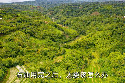 石油用完之后，人類該怎么辦