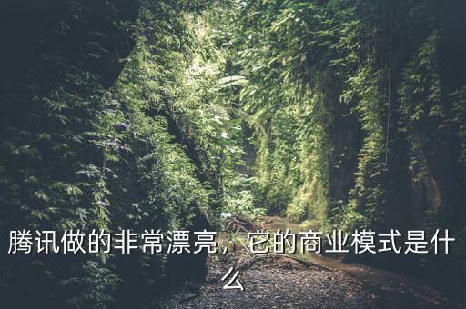 騰訊做的非常漂亮，它的商業(yè)模式是什么