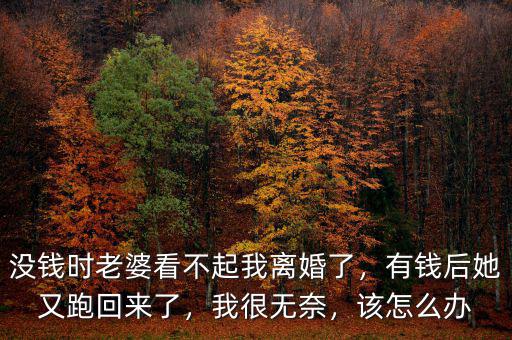 沒(méi)錢時(shí)老婆看不起我離婚了，有錢后她又跑回來(lái)了，我很無(wú)奈，該怎么辦