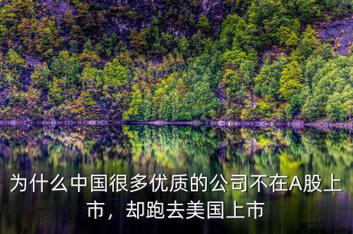 為什么中國很多優(yōu)質的公司不在A股上市，卻跑去美國上市