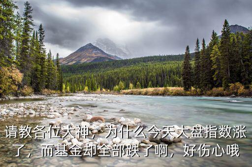 請教各位大神，為什么今天大盤指數(shù)漲了，而基金卻全部跌了啊，好傷心哦