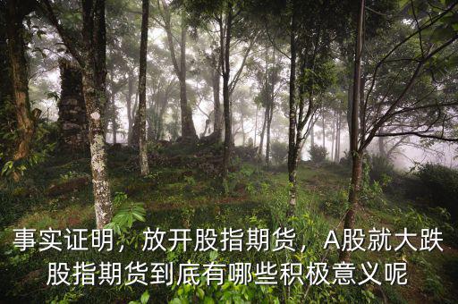 事實證明，放開股指期貨，A股就大跌股指期貨到底有哪些積極意義呢