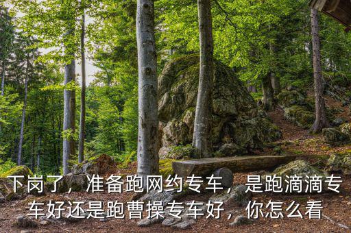 下崗了，準(zhǔn)備跑網(wǎng)約專車，是跑滴滴專車好還是跑曹操專車好，你怎么看