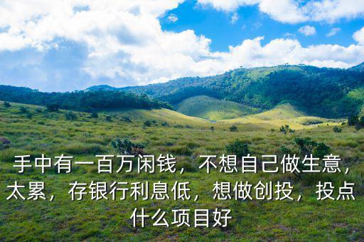 手中有一百萬閑錢，不想自己做生意，太累，存銀行利息低，想做創(chuàng)投，投點(diǎn)什么項(xiàng)目好