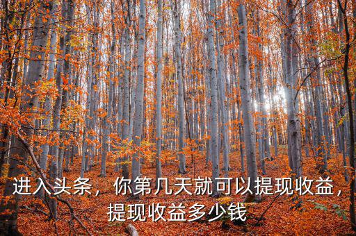 進入頭條，你第幾天就可以提現(xiàn)收益，提現(xiàn)收益多少錢