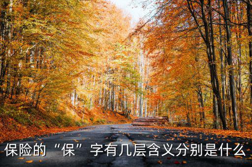 保險(xiǎn)的“?！弊钟袔讓雍x分別是什么