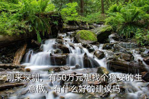 剛來深圳，有50萬元想找個穩(wěn)妥的生意做，有什么好的建議嗎