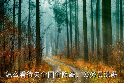 怎么看待央企國企降薪，公務(wù)員漲薪