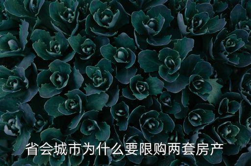 省會(huì)城市為什么要限購兩套房產(chǎn)