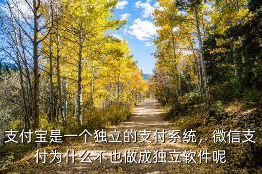 支付寶是一個(gè)獨(dú)立的支付系統(tǒng)，微信支付為什么不也做成獨(dú)立軟件呢