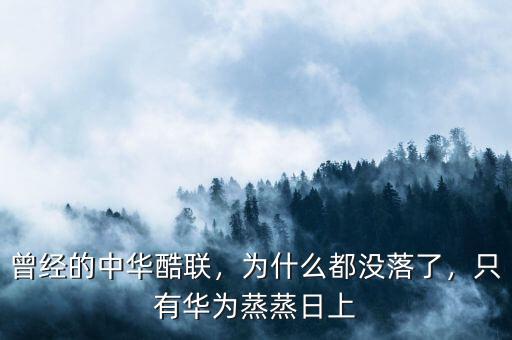 曾經(jīng)的中華酷聯(lián)，為什么都沒落了，只有華為蒸蒸日上