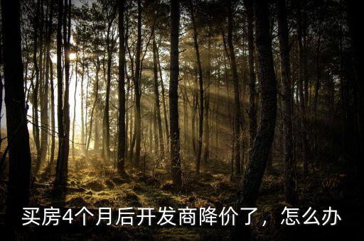 買房4個(gè)月后開發(fā)商降價(jià)了，怎么辦