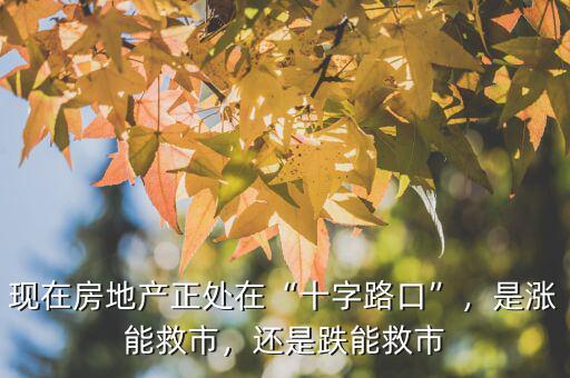 現(xiàn)在房地產(chǎn)正處在“十字路口”，是漲能救市，還是跌能救市