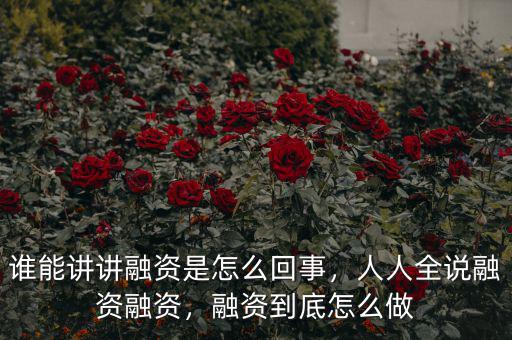 誰(shuí)能講講融資是怎么回事，人人全說(shuō)融資融資，融資到底怎么做