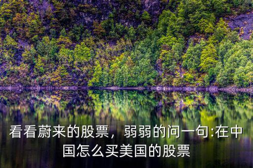 看看蔚來(lái)的股票，弱弱的問(wèn)一句:在中國(guó)怎么買(mǎi)美國(guó)的股票