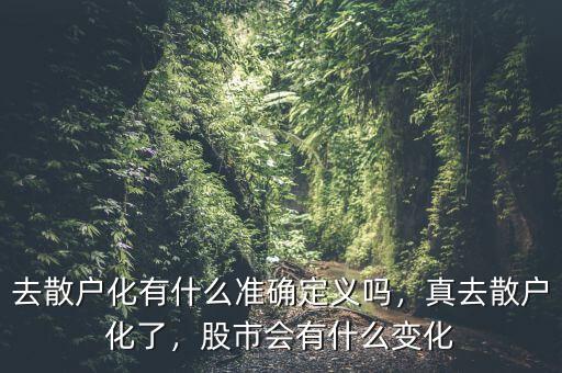 去散戶化有什么準確定義嗎，真去散戶化了，股市會有什么變化