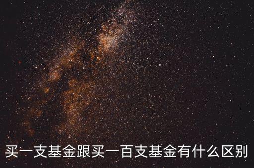 買(mǎi)一支基金跟買(mǎi)一百支基金有什么區(qū)別