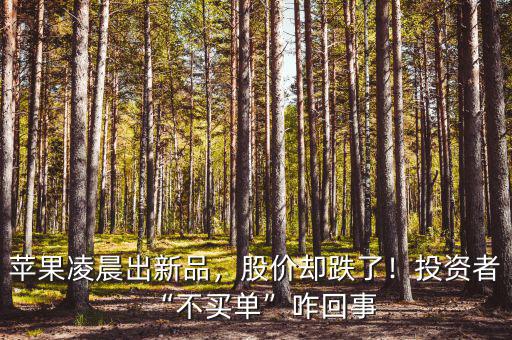 蘋果凌晨出新品，股價卻跌了！投資者“不買單”咋回事