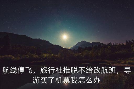 航線停飛，旅行社推脫不給改航班，導(dǎo)游買了機(jī)票我怎么辦