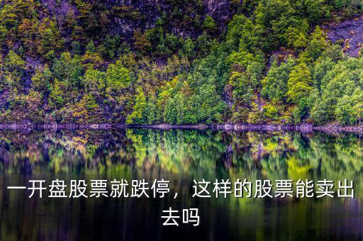 一開(kāi)盤股票就跌停，這樣的股票能賣出去嗎