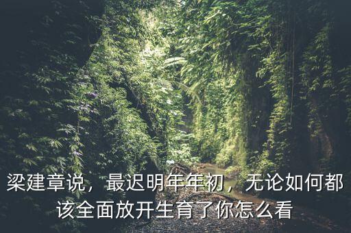 梁建章說(shuō)，最遲明年年初，無(wú)論如何都該全面放開(kāi)生育了你怎么看