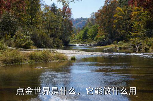 點金世界是什么，它能做什么用