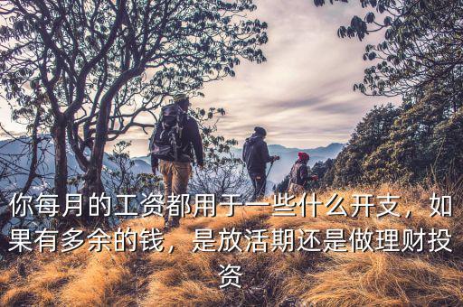 你每月的工資都用于一些什么開(kāi)支，如果有多余的錢，是放活期還是做理財(cái)投資