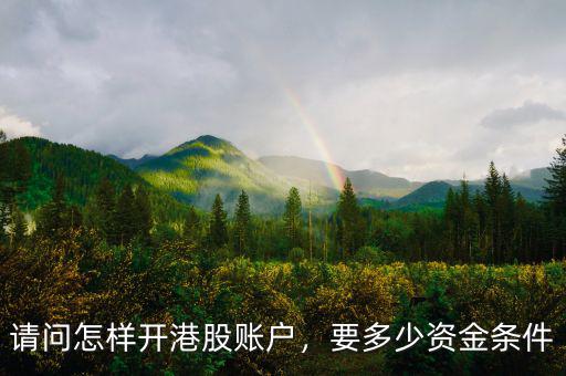 請問怎樣開港股賬戶，要多少資金條件