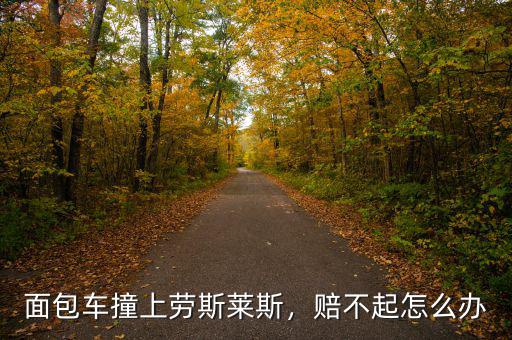 面包車撞上勞斯萊斯，賠不起怎么辦