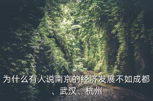 為什么有人說南京的經(jīng)濟(jì)發(fā)展不如成都、武漢、杭州