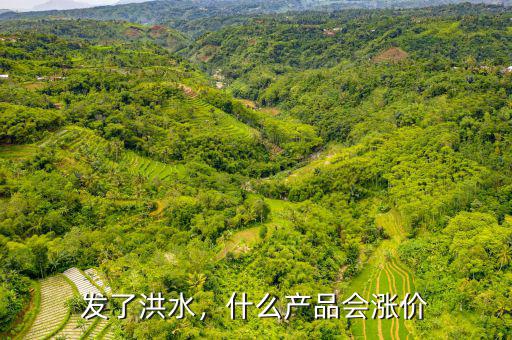 發(fā)了洪水，什么產(chǎn)品會(huì)漲價(jià)