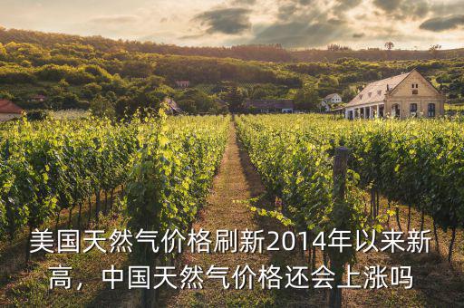 美國(guó)天然氣價(jià)格刷新2014年以來(lái)新高，中國(guó)天然氣價(jià)格還會(huì)上漲嗎
