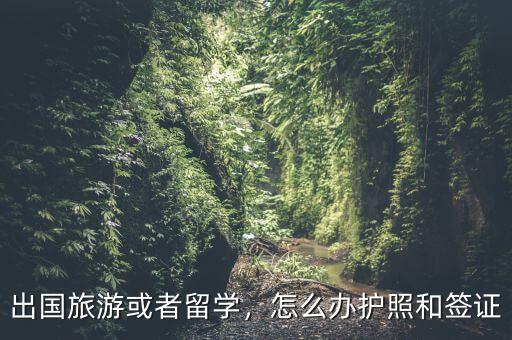 出國(guó)旅游或者留學(xué)，怎么辦護(hù)照和簽證