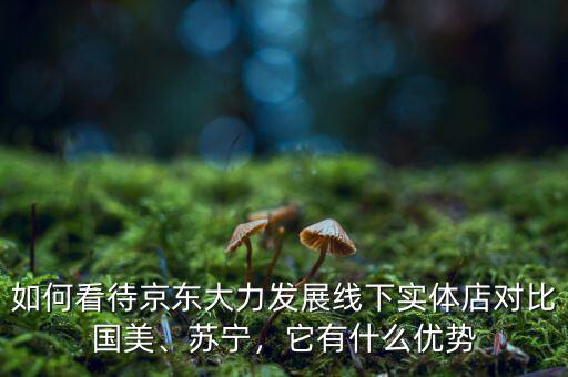 如何看待京東大力發(fā)展線下實(shí)體店對(duì)比國(guó)美、蘇寧，它有什么優(yōu)勢(shì)
