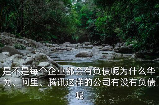 是不是每個企業(yè)都會有負債呢為什么華為、阿里、騰訊這樣的公司有沒有負債呢