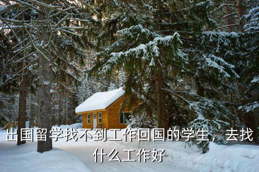 出國(guó)留學(xué)找不到工作回國(guó)的學(xué)生，去找什么工作好