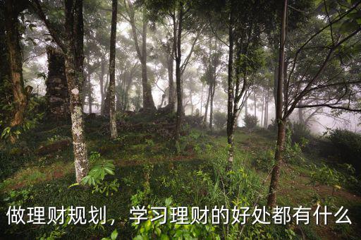 做理財(cái)規(guī)劃，學(xué)習(xí)理財(cái)?shù)暮锰幎加惺裁? class=
