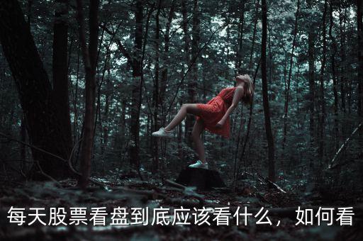 每天股票看盤(pán)到底應(yīng)該看什么，如何看