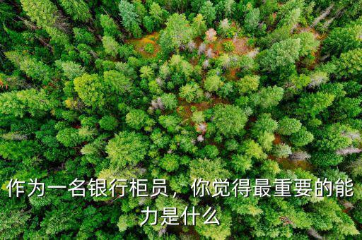作為一名銀行柜員，你覺(jué)得最重要的能力是什么