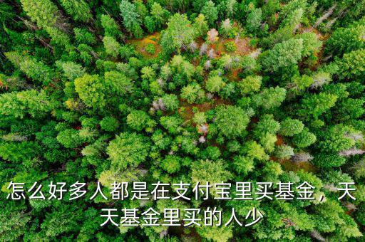 怎么好多人都是在支付寶里買(mǎi)基金，天天基金里買(mǎi)的人少