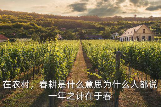 在農村，春耕是什么意思為什么人都說一年之計在于春