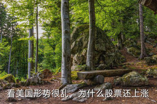 看美國形勢很亂，為什么股票還上漲