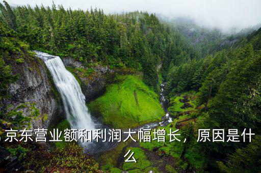 京東營業(yè)額和利潤大幅增長，原因是什么