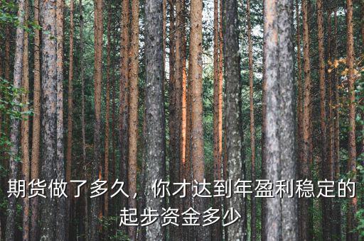 期貨做了多久，你才達(dá)到年盈利穩(wěn)定的起步資金多少