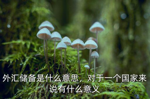 外匯儲備是什么意思，對于一個國家來說有什么意義