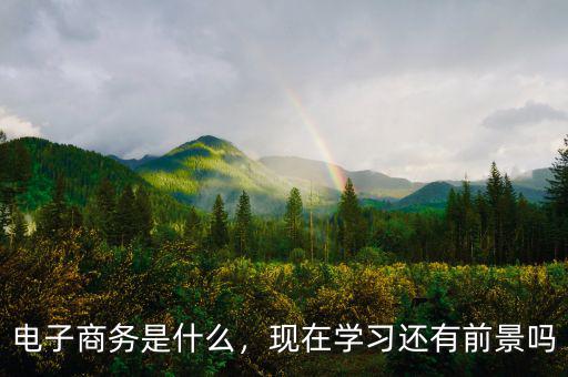 電子商務(wù)是什么，現(xiàn)在學(xué)習(xí)還有前景嗎