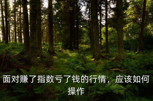面對賺了指數虧了錢的行情，應該如何操作