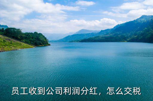 員工收到公司利潤分紅，怎么交稅
